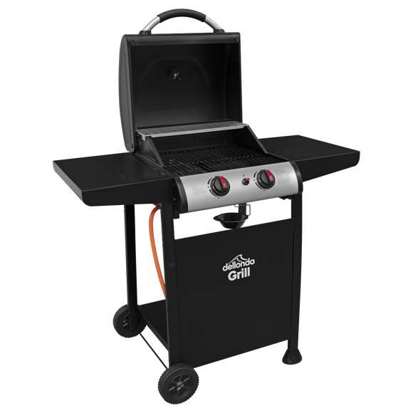 Deluxe Barbecue Garden 2 Gas burner BBQ Grill with Ignition Thermometer