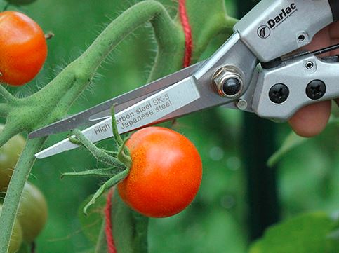 darlac-dp42-compact-snips