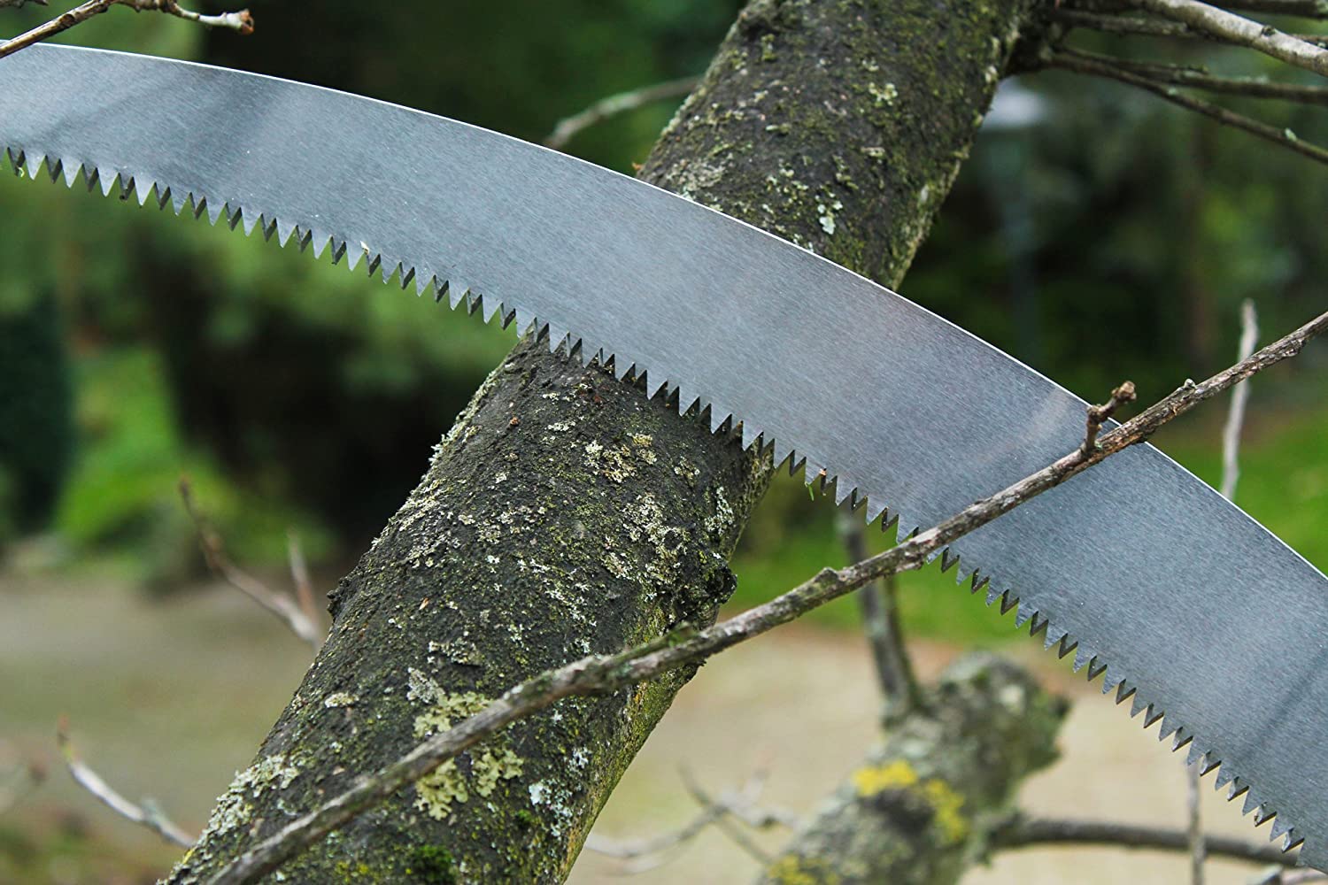 darlac-dp1565-expert-razor-tooth-saw