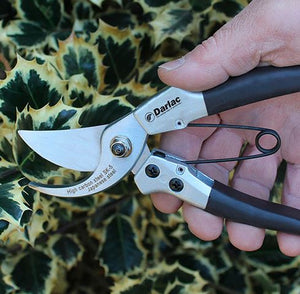 darlac-dp41-compact-plus-pruner