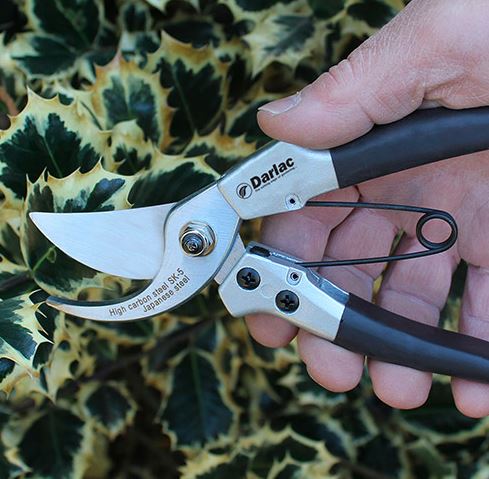 darlac-dp41-compact-plus-pruner