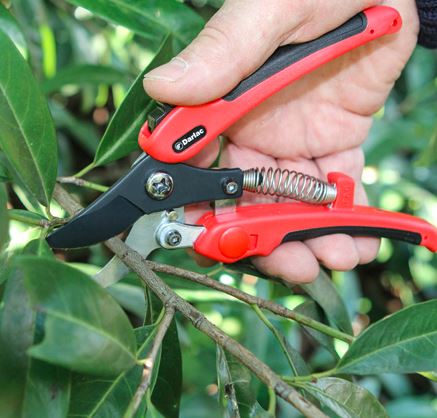 darlac-dp332-compound-action-pruner