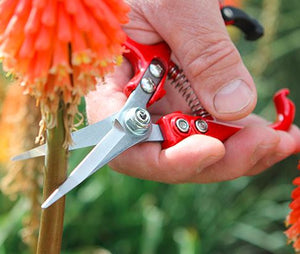 darlac-dp842-ergo-snips