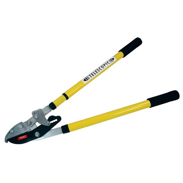 neilsen-lopper-ct3462