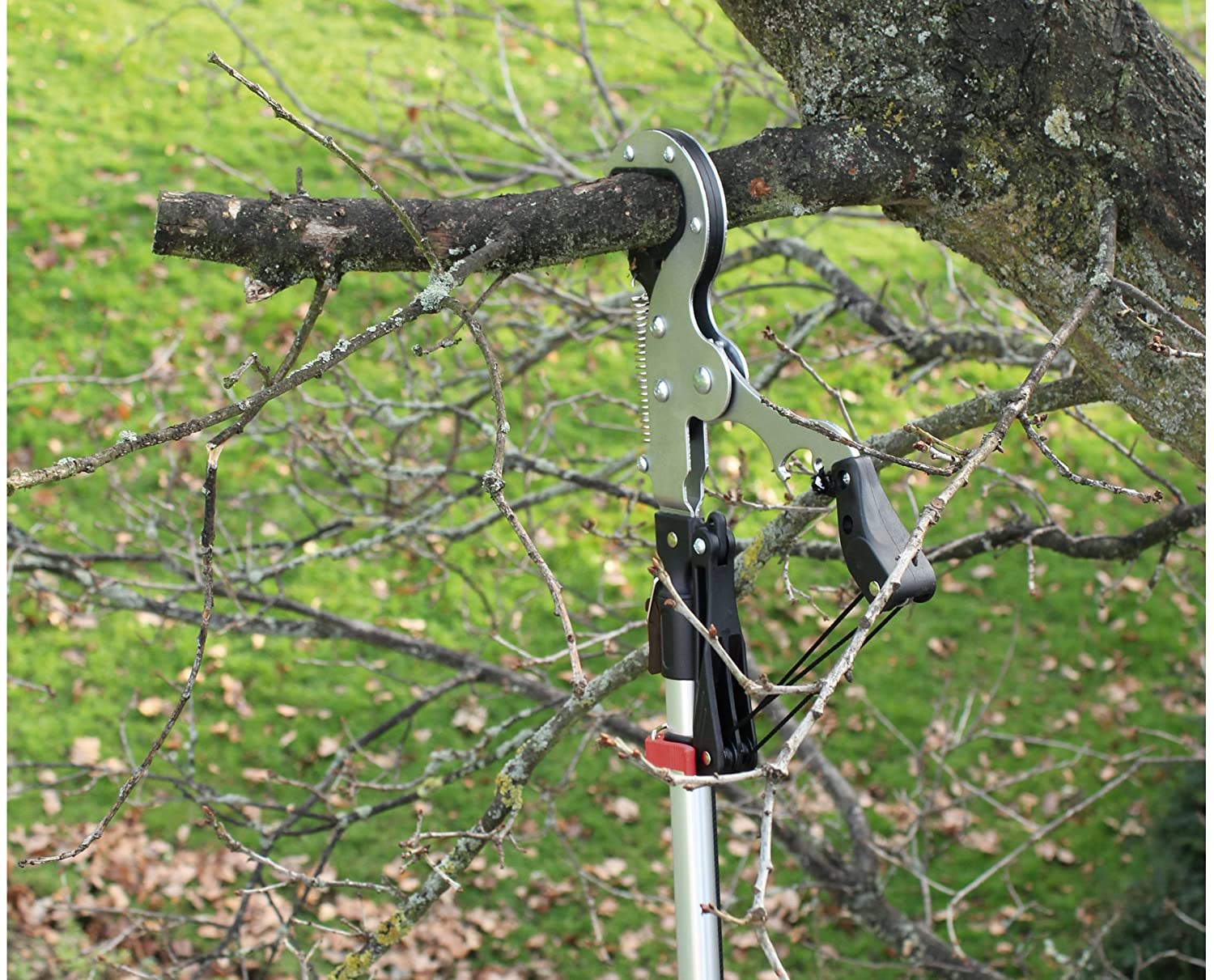 darlac-dp1583-expert-geared-anvil-tree-pruner