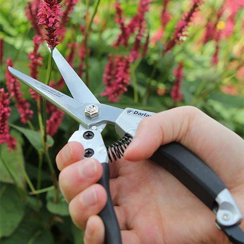 copy-of-darlac-dp332-compound-action-pruner