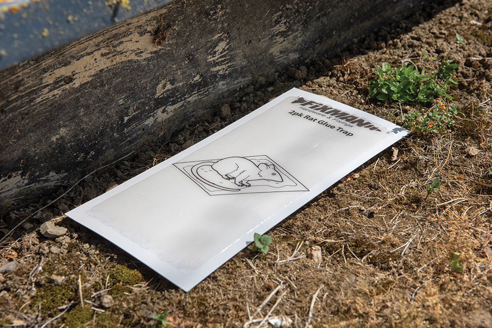 Fixman 301759 Rat Glue Trap 2pk 2pk