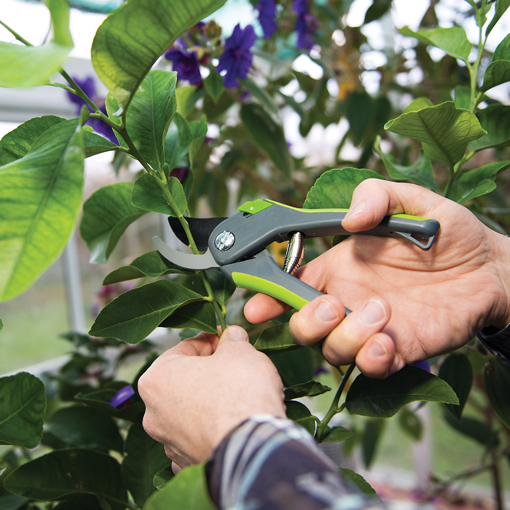 silverline_245027_bypass_secateurs_200mm