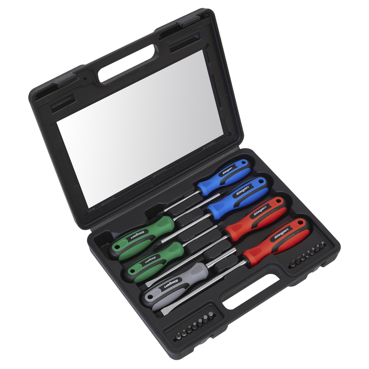 Sealey-Sealey-S0923-Screwdriver-Set-with-Carry-Case,-21-Pieces-S0923